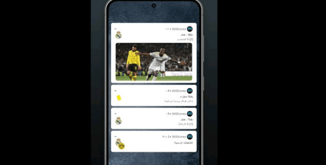 365Scores