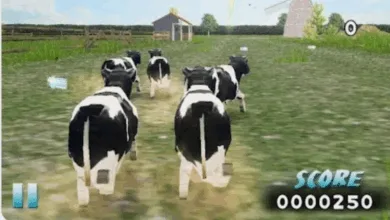 لعبة Farm Race